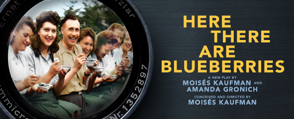 Here There Are Blueberries